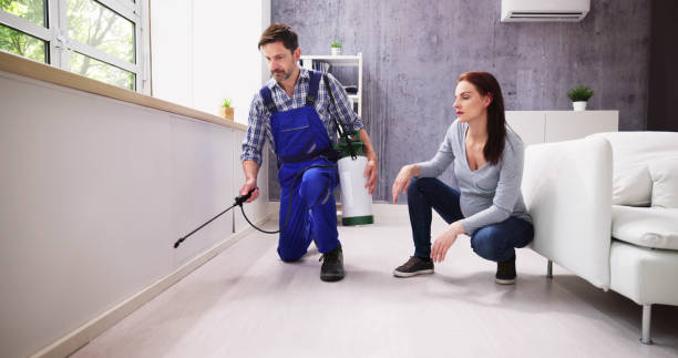 Professional Pest Control in Ormond By The Sea, FL